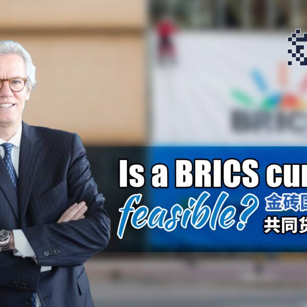 OPINION: Is a BRICS currency feasible?