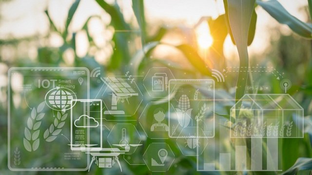 UAE, Brazil and Cuba announce food security initiative