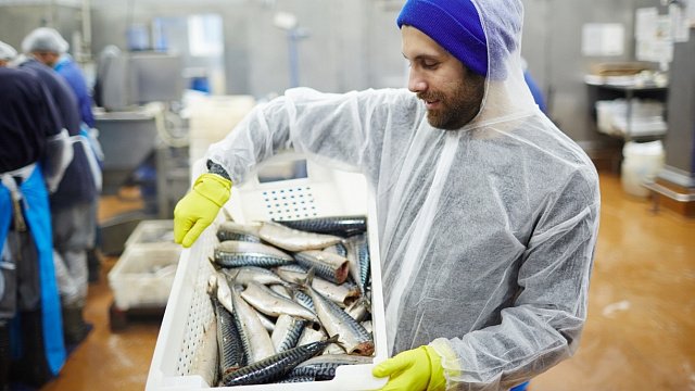 Fish production rises in Zimbabwe