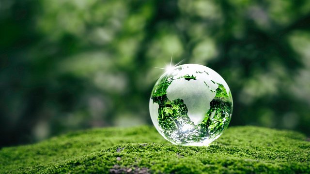 COP29 approves new collective climate goal