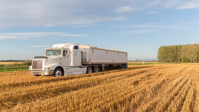 South Africa’s agricultural exports reach record…