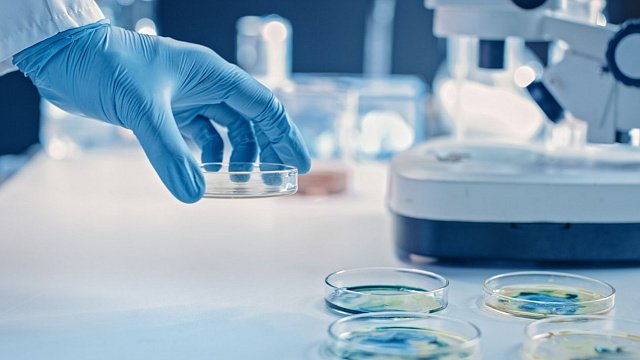 Abu Dhabi introduces CRISPR gene therapy…