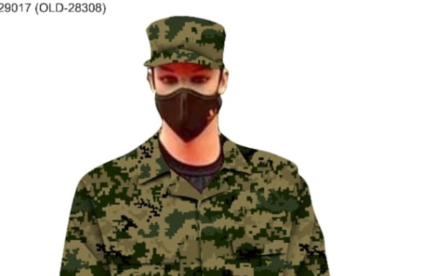 BSF Prepares For Makeover With Digital Camouflage Pattern Uniform