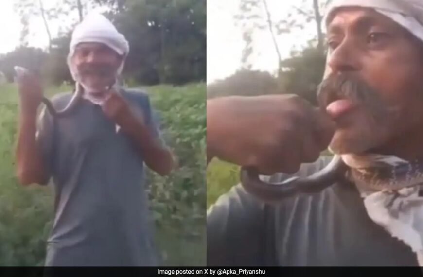 Watch: 50-Year-Old UP Man Attempts To Kiss Snake For Reel, Bitten On Tongue
