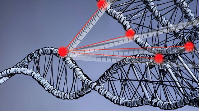 Artificial intelligence helps Russian scientists fill gaps in DNA structure