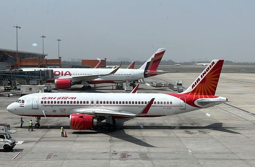 Air India Pune-Delhi Flight Cancelled After Bird Hit