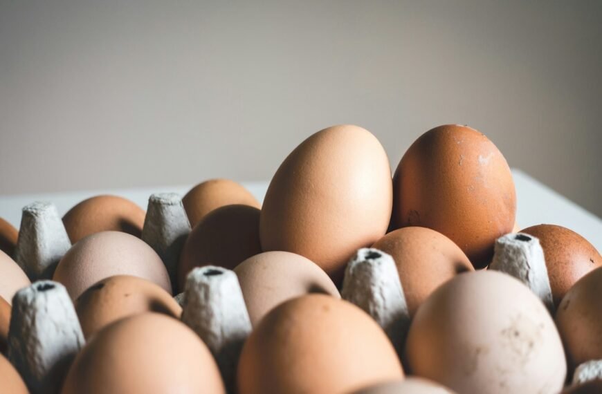 India Ahead Of Neighbours In Egg Intake, But Still Lags Global Average