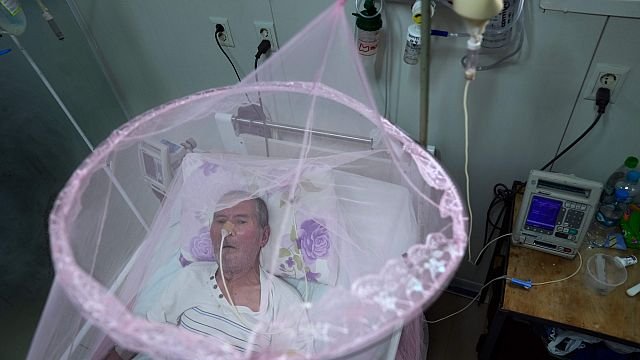 Could AI help fight mosquito-borne diseases?