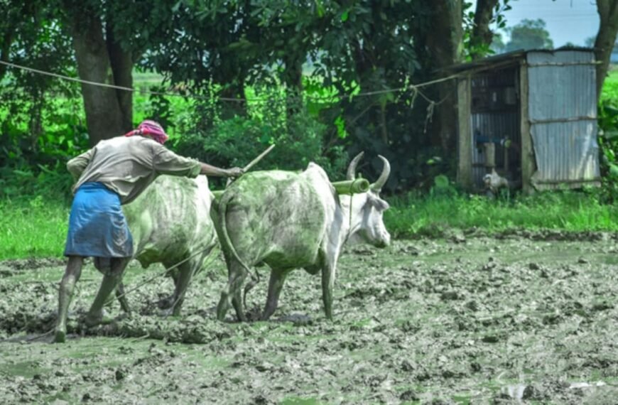 Maharashtra To Blacklist Farmers Using Fake Crop Insurance Claims: Report