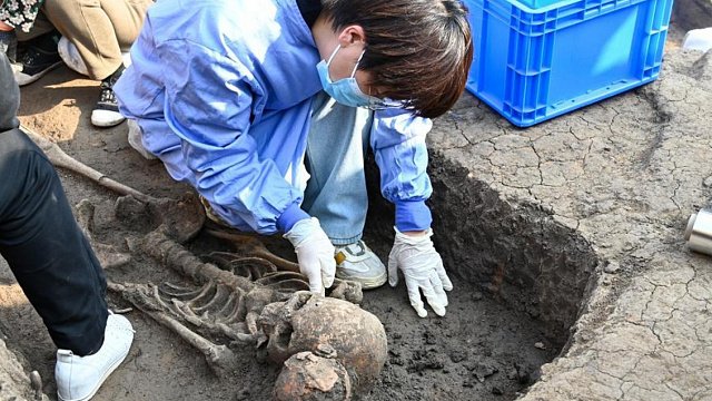 China’s earliest wooden coffins from 8,000 years ago unearthed in Henan Province