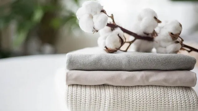 Russia develops self-cleaning fabric technology