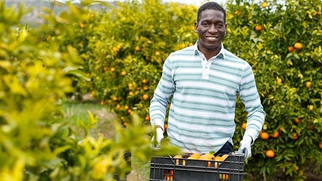 South Africa concludes 2025 citrus export…