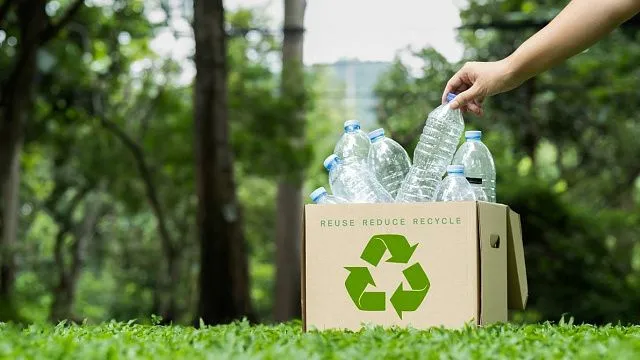 Egypt to introduce green label for&hellip;