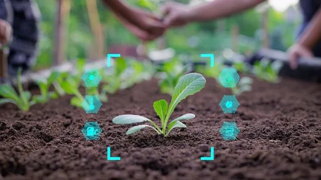 Vietnam and Brazil explore smart agriculture&hellip;