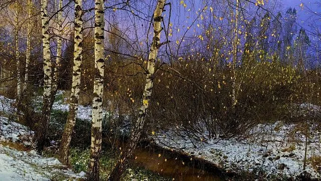 Russian philologists and journalists launch educational&hellip;