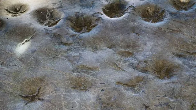 Beijing discovers Asia’s first Middle Jurassic…