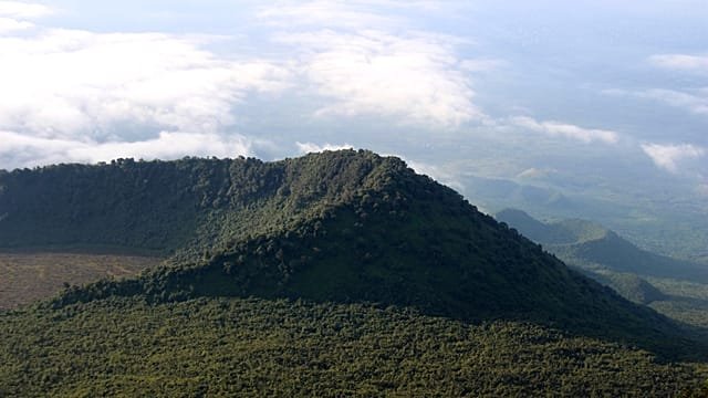 Community forest in Eastern DR Congo tests promise of local control amid conflict