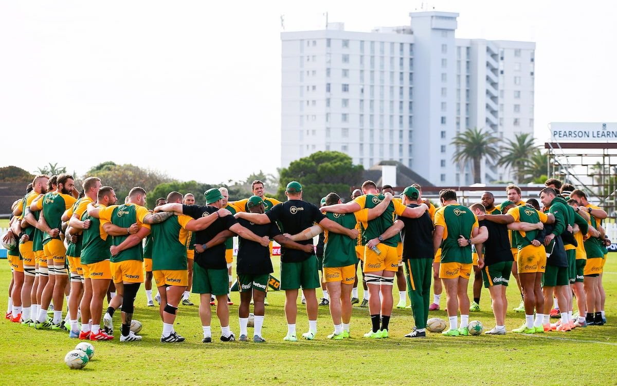 springbok-injury-list:-players-facing-long-term-absence