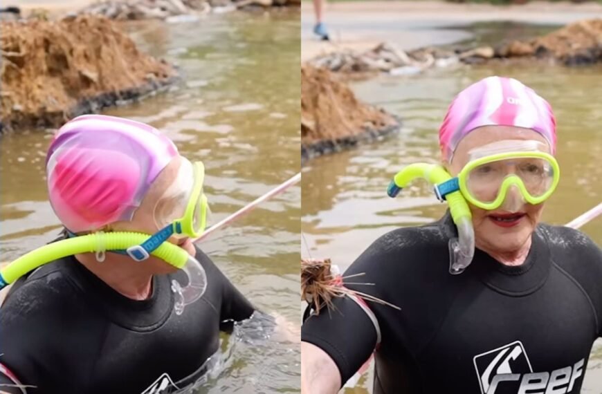 ‘this-is-wild’:-helen-zille-swims-in-pothole-in-johannesburg