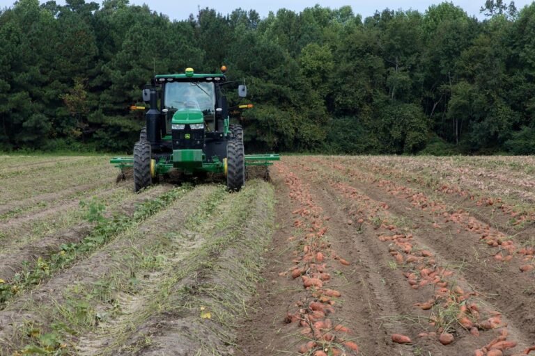 fuel-hikes-hit-zimbabwe-farmers,-threaten-food-production