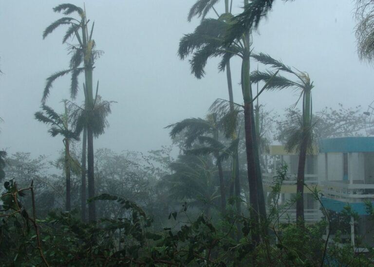 weather:-disruptive-rainfall,-strong-winds-and-waves-to-hit-sa