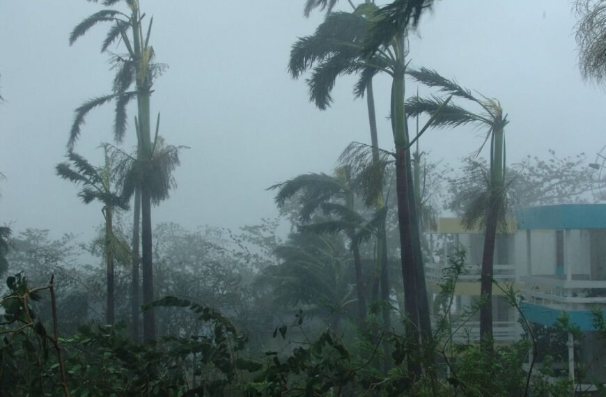 weather:-disruptive-rainfall,-strong-winds-and-waves-to-hit-sa