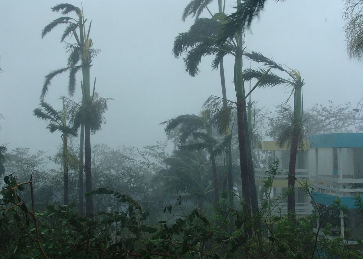 weather:-disruptive-rainfall,-strong-winds-and-waves-to-hit-sa