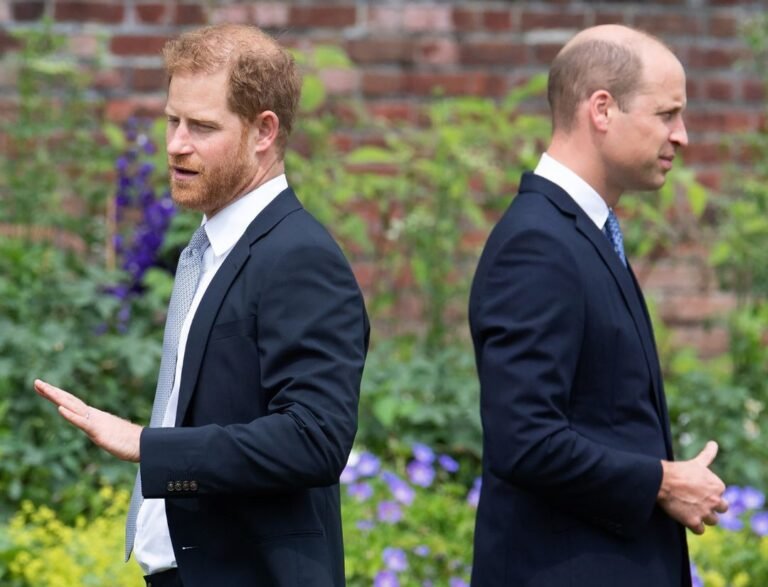 prince-william’s-‘ruthless-streak’-keeps-prince-harry-at-a-distance