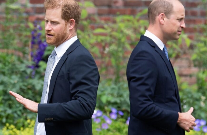 prince-william’s-‘ruthless-streak’-keeps-prince-harry-at-a-distance