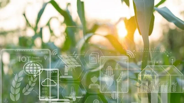 Zimbabwe strengthens food security outlook with&hellip;