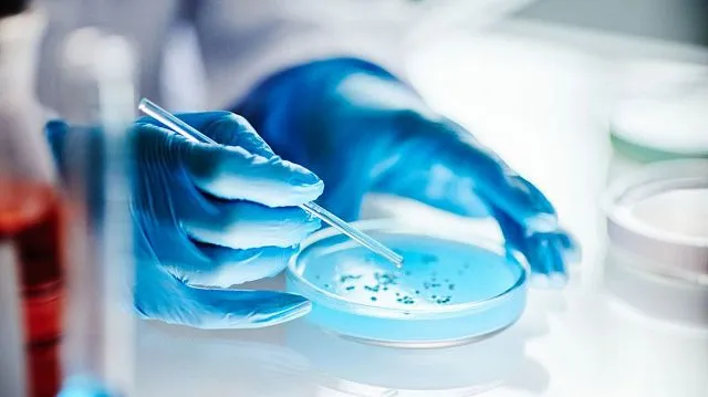 Belarusian scientists unveil oil-eating bacteria to&hellip;