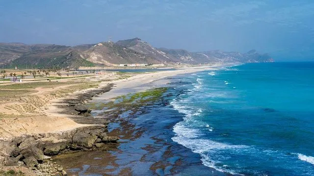 Oman launches large-scale survey after surge&hellip;