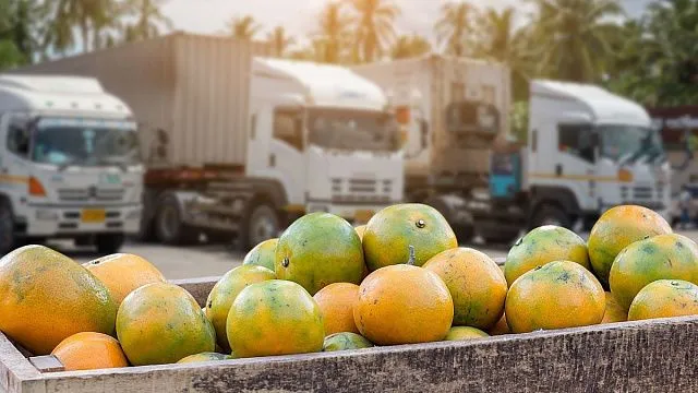Tunisian fruit exports rise as revenues&hellip;