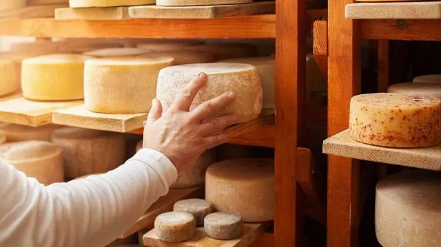 Kazakhstan’s cheese and cottage cheese production&hellip;
