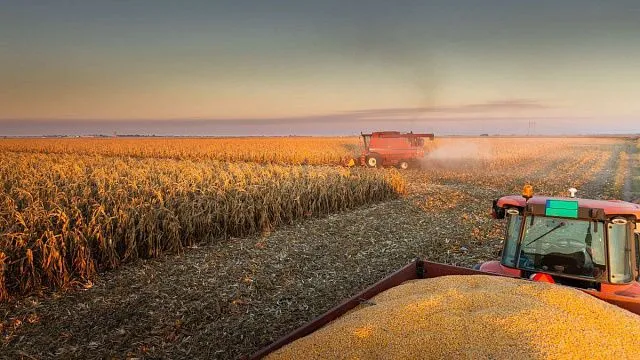 Brazil completes nearly 98% of Centre-South…