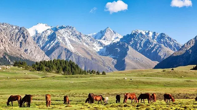 Kyrgyzstan begins nationwide project to update&hellip;