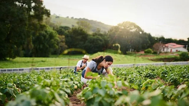 Brazil helps family farmers access international&hellip;