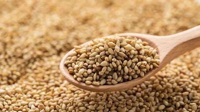 Zimbabwe strengthens structured sesame marketing as…