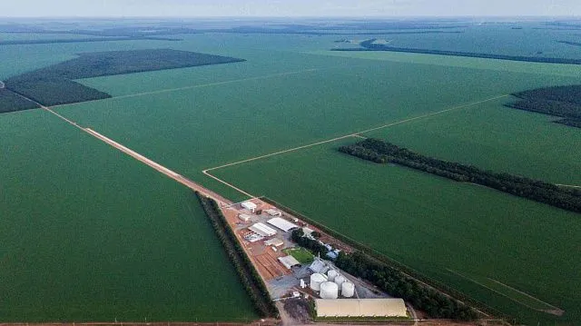 Russia and Brazil strengthen their agro-industrial…