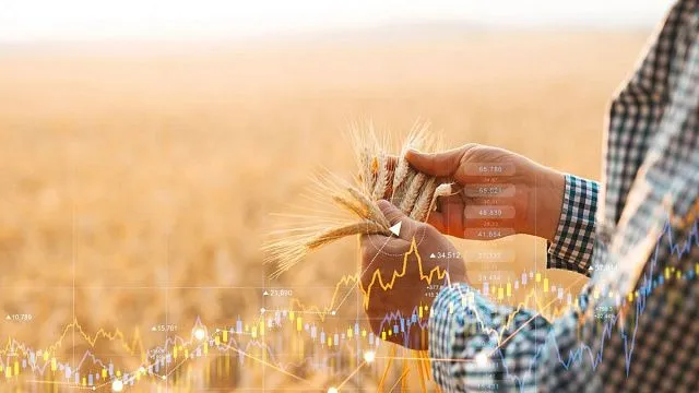 South Africa achieves record agricultural trade…