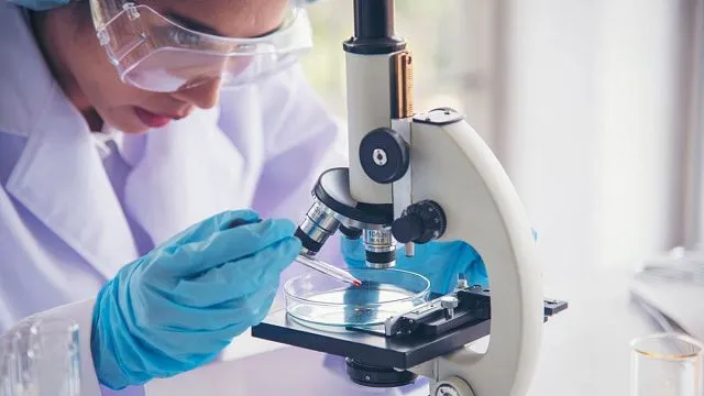 International scientists use plant extracts to&hellip;