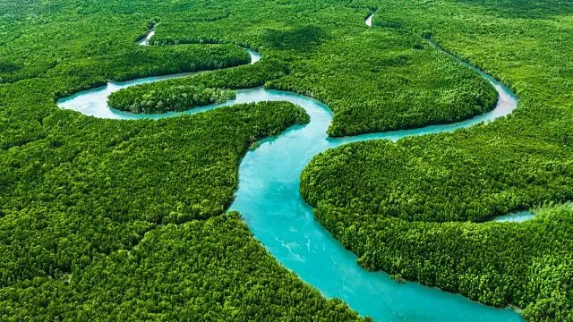 China adds more than 9,200 hectares&hellip;