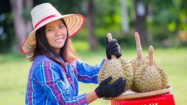 China remains Vietnam’s largest agricultural export…