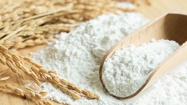 Kazakhstan increases grain and flour exports…