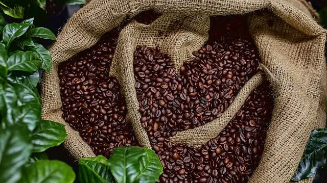 Kenya launches programme to boost coffee&hellip;