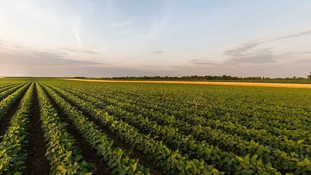 Brazil projects 110 million tonnes of&hellip;