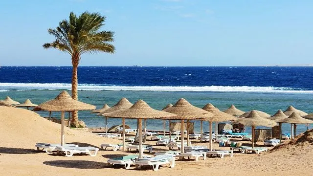 Egypt welcomes Russia’s decision to launch…