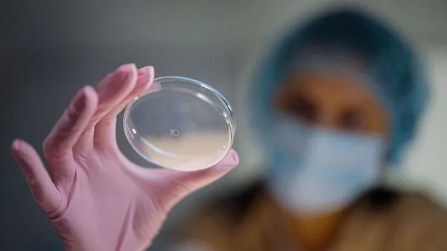 Iranian researchers develop light-sensitive hydrogel system&hellip;