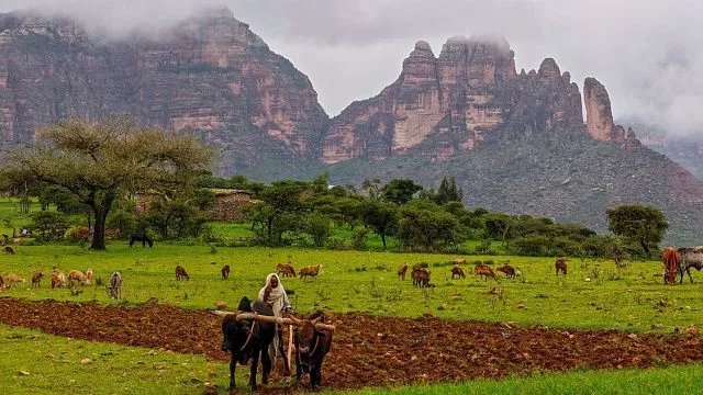 Ethiopia moves to turn millions of&hellip;