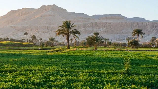 Expert: Egypt completes national drought management&hellip;